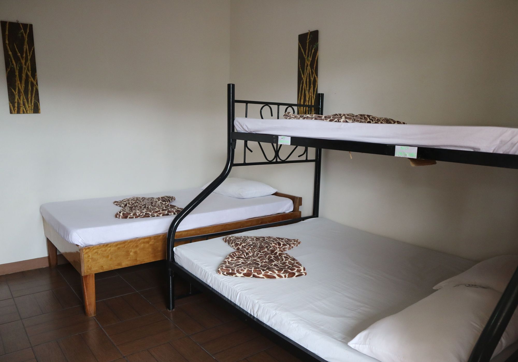 Pacific Waves Inn بالير المظهر الخارجي الصورة