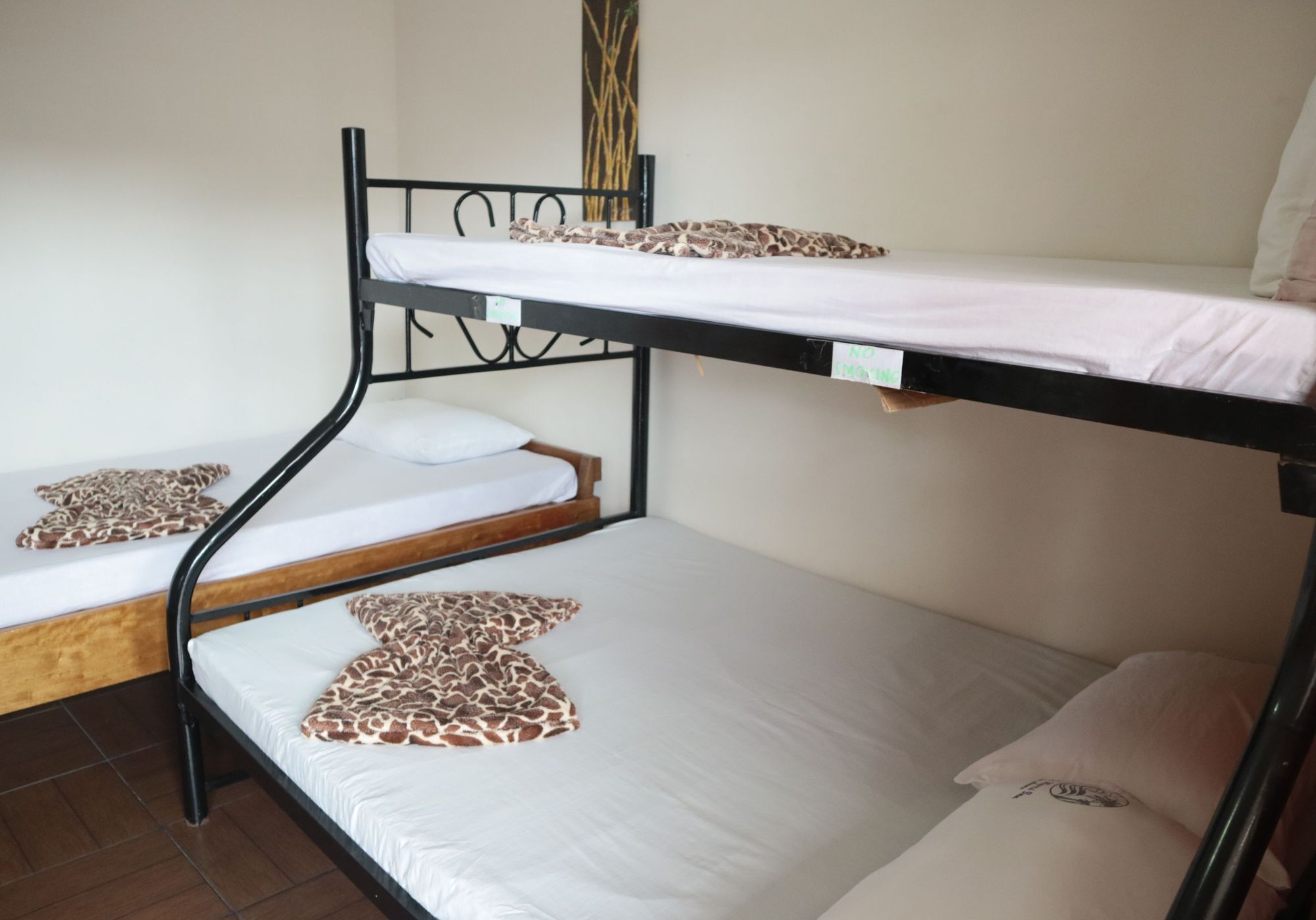 Pacific Waves Inn بالير المظهر الخارجي الصورة